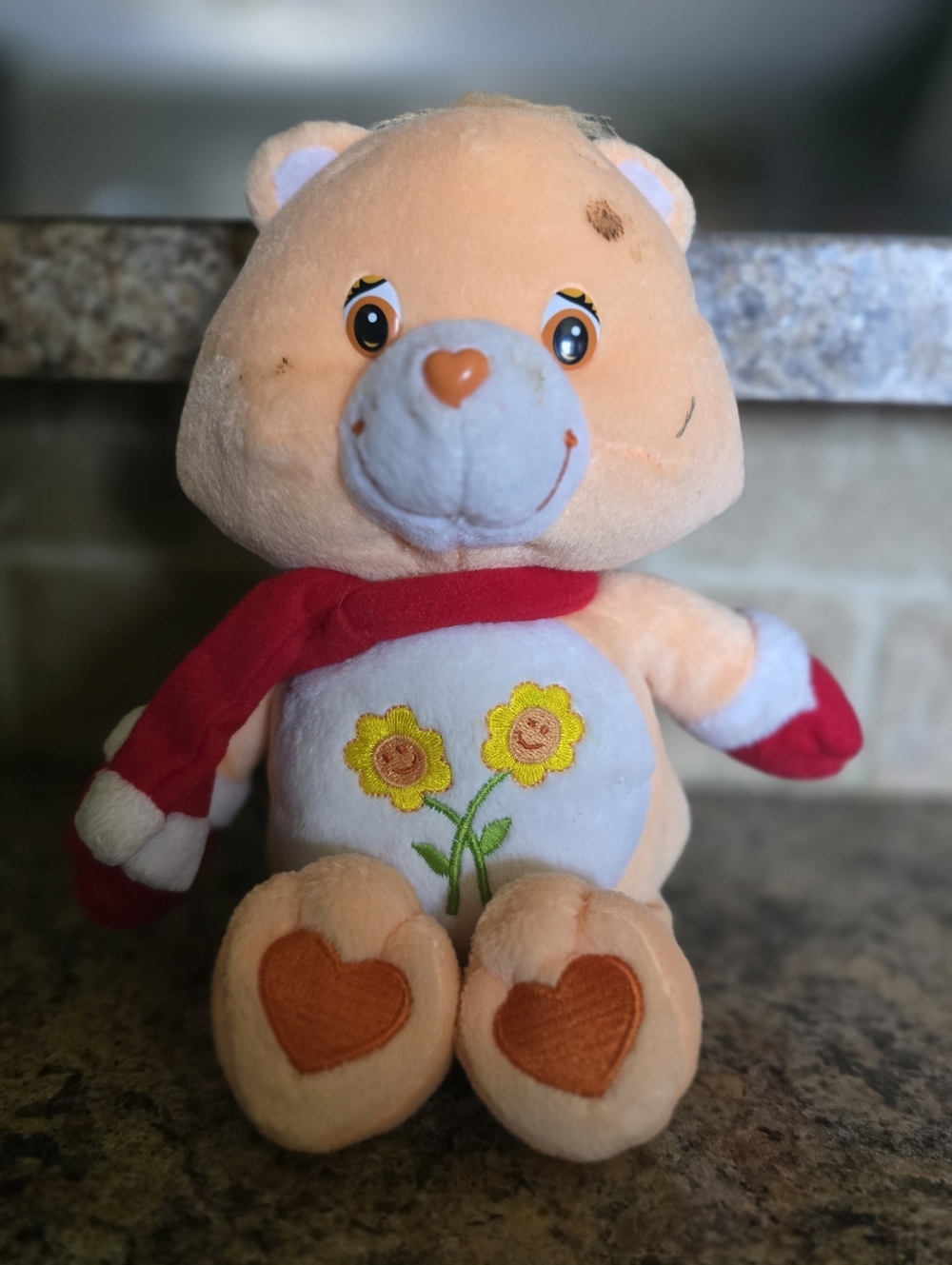 Vintage Care Bears Friendship Bear 10" Orange Flowers Plush 2004 w/Scarf Mittens